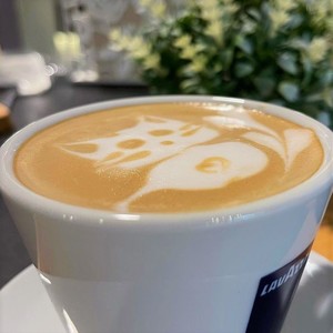 Drivu Latte