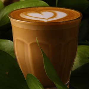 Drivu Cortado