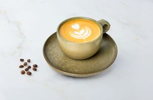 Drivu Ten 11 Cappuccino 