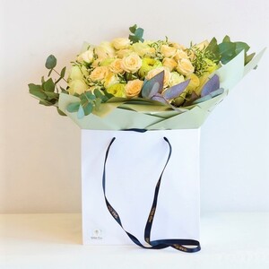 Drivu Being Peachy (in a bag)