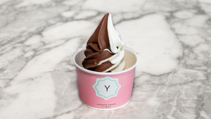 Drivu Chocolate & Vanilla Ice Cream