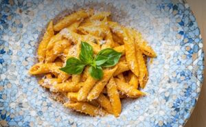 Drivu Mara Pink Penne