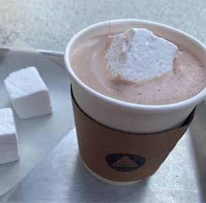 Drivu Organic Choco Milk