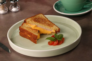 Drivu Turkey Cheese Melt