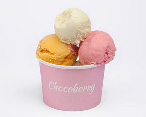 Drivu Gelato (1 scoop)