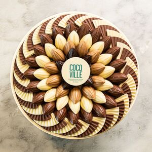 Drivu Sukoon Chocolate In Classic Bowl