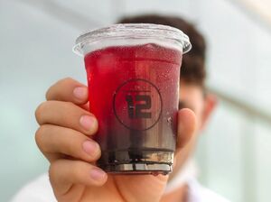 Drivu Hibiscus (Karkadeh)