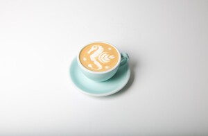 Drivu Spanish Latte 