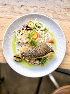 Drivu Bream & Barley