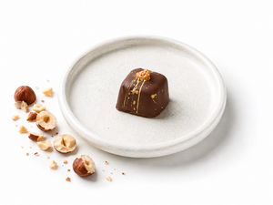 Drivu Hazelnut Chocolate Praline