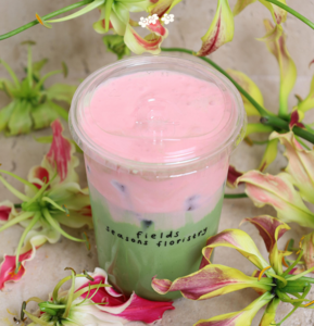 Drivu Strawberry Cloud Matcha