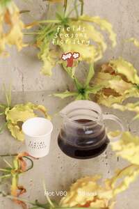 Drivu V60 Columbia Competition