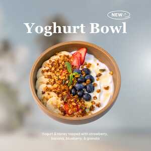 Drivu Yogurt Bowl