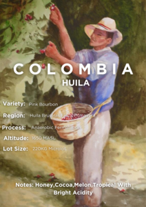 Drivu Colombia Pink Bourbon 200g (Filter)