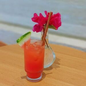 Drivu Watermelon Juice