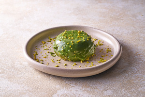 Drivu Evergreen Dome