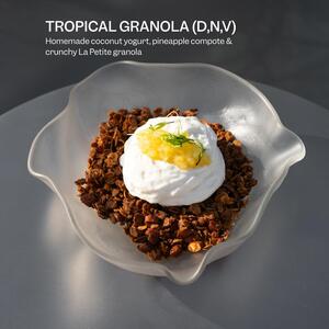 Drivu Tropical Granola
