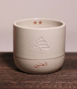 Drivu Al Ain Cup 1971