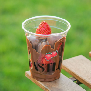 Drivu Strawberry Chocolate