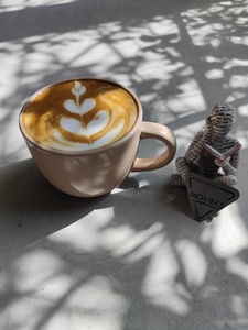 Drivu Hot Spanish Latte