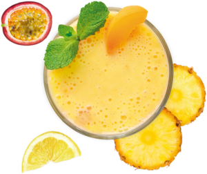 Drivu Mango Paradise