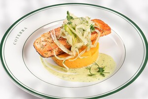 Drivu Salmon Fillet