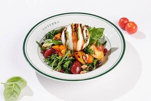 Drivu Burrata Salad