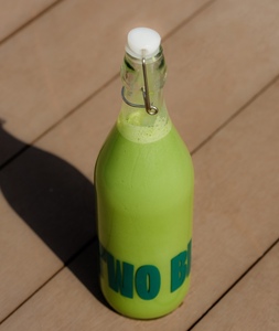 Drivu Iced Matcha Latte Bottle