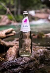 Drivu Sparkling Water (Small)