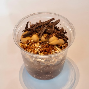 Drivu Peanut Butter & Chocolate Overnight Oats