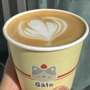 Drivu Hot Cappuccino 