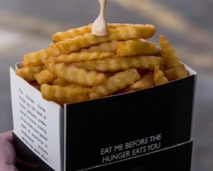 Drivu Regular Fries