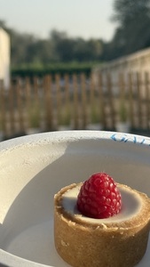 Drivu London Cheescake