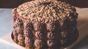 Drivu Hazelnut Crunch Cake
