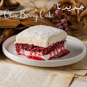 Drivu Coco Berry Cake