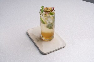 Drivu Fruit Passion Mojito 