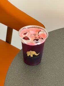 Drivu Iced Hibiscus 
