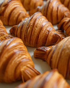 Drivu Parka Croissant