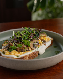 Drivu Creamy Scramble Egg and Mushroom on Toast