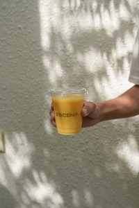 Drivu Mango Paradise