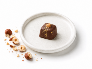 Drivu Hazelnut Chocolate Praline