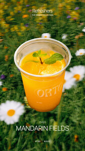 Drivu Mandarin Juice