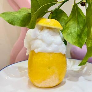 Drivu Amalfi Lemon Gelato