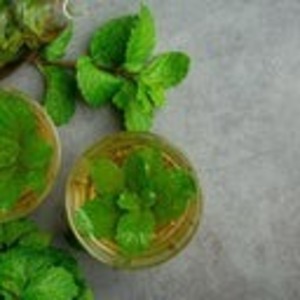 Drivu Refreshing Mint Infusion - The Cool Awakening (Hot/Cold)