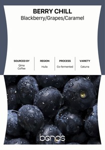 Drivu Berry Chill Beans