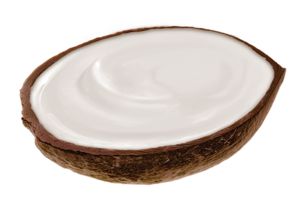 Drivu Heavenly Coconut