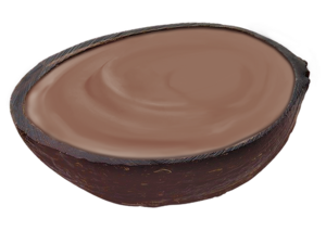 Drivu Chocolate Coconut 