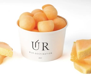 Drivu Melon Fruit Cup