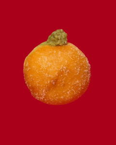 Drivu Matcha Bomboloni (1 piece)