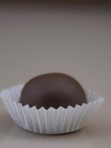 Drivu White Oreo Truffle and Chocolate Oreo Truffle (1 piece)